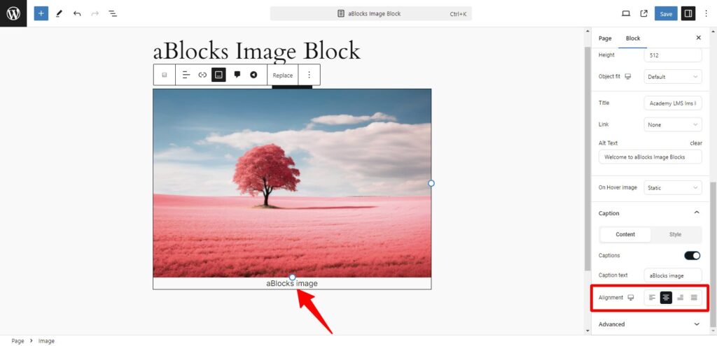 image text alignment customize