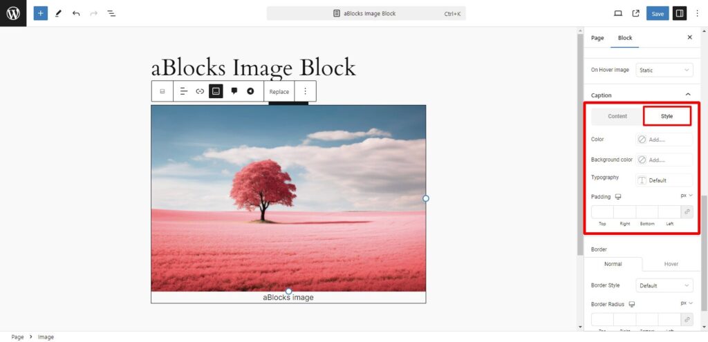 Caption style customization