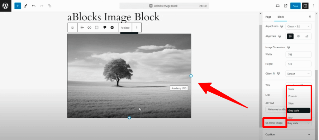 image customizations