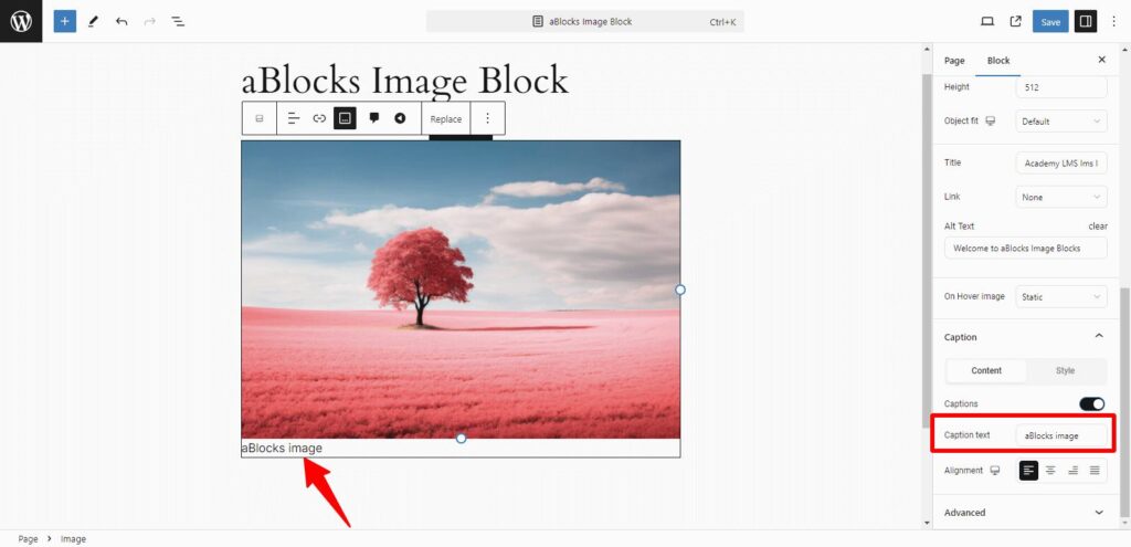 Add image caption text
