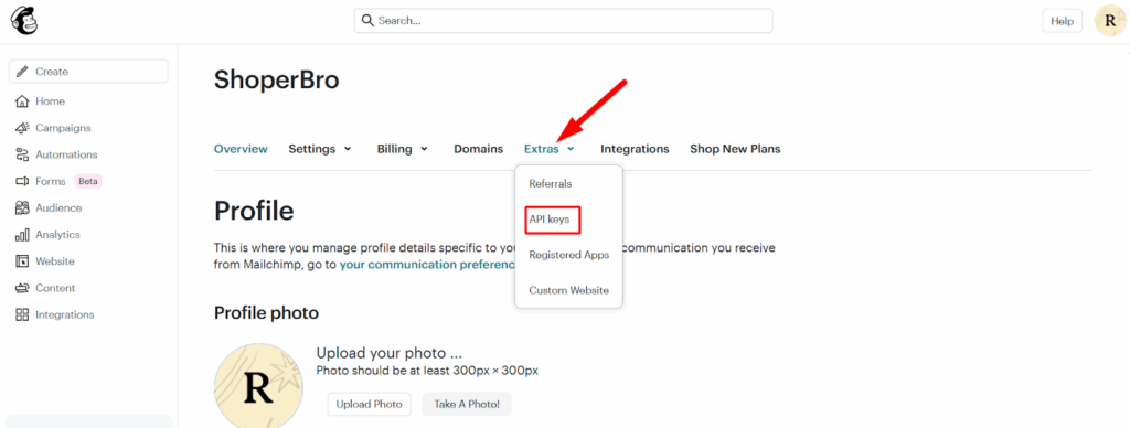 Open the API Keys Section